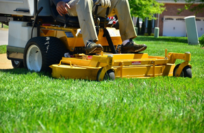 Lawn Treatment Dawsonville, GA