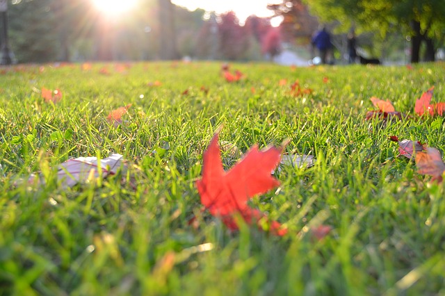 Lawn Care Professionals
