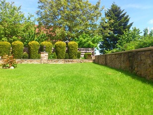 Lawn Treatment Experts