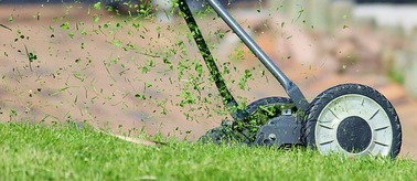 Lawn Mowing Dawsonville, GA