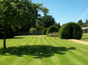 Commercial Landscaping